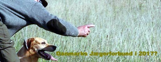 Strategien for de nste 5 r